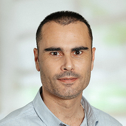 Nenad Gavrić